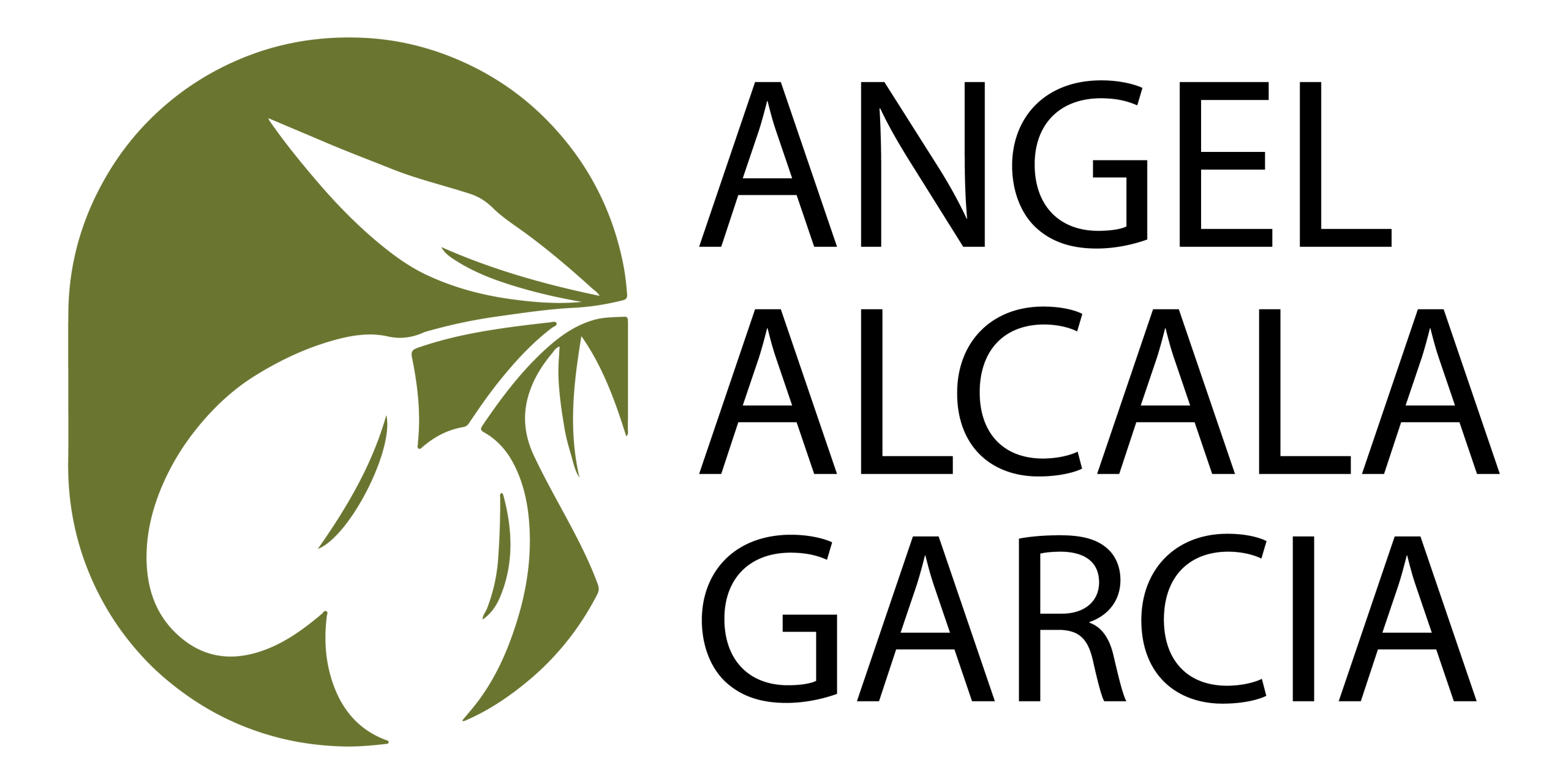 ANGEL ALCALA GARCIA Logo Principal